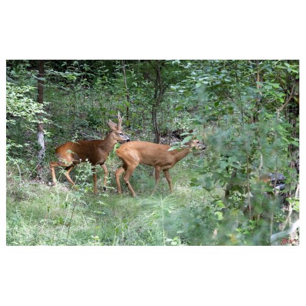 PHOTO84, CLUB, 84 , LUBERON